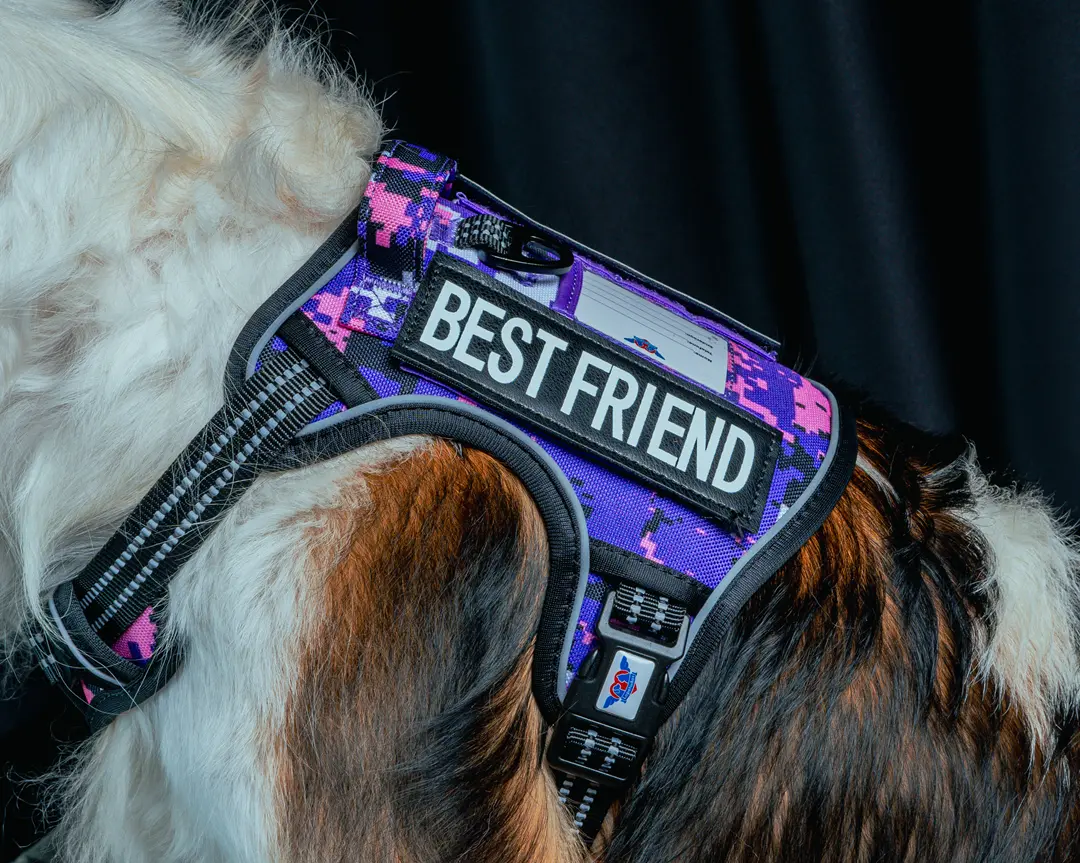 Omega R10 Ronaldinho